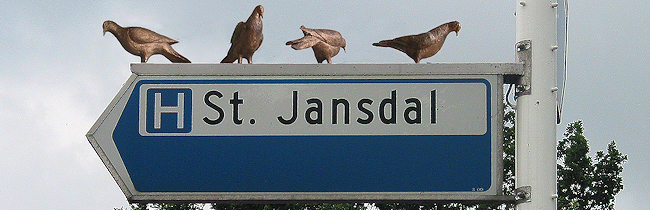 St Jansdal duiven
