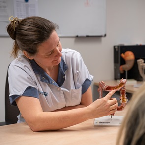 Darmkankerdagen in St Jansdal Lelystad en Harderwijk Darmkankerdagen in St Jansdal Lelystad en Harderwijk