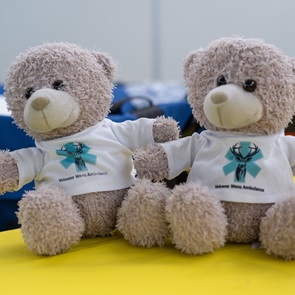 Informatiemarkt palliatieve zorg in het St Jansdal Informatiemarkt palliatieve zorg in het St Jansdal