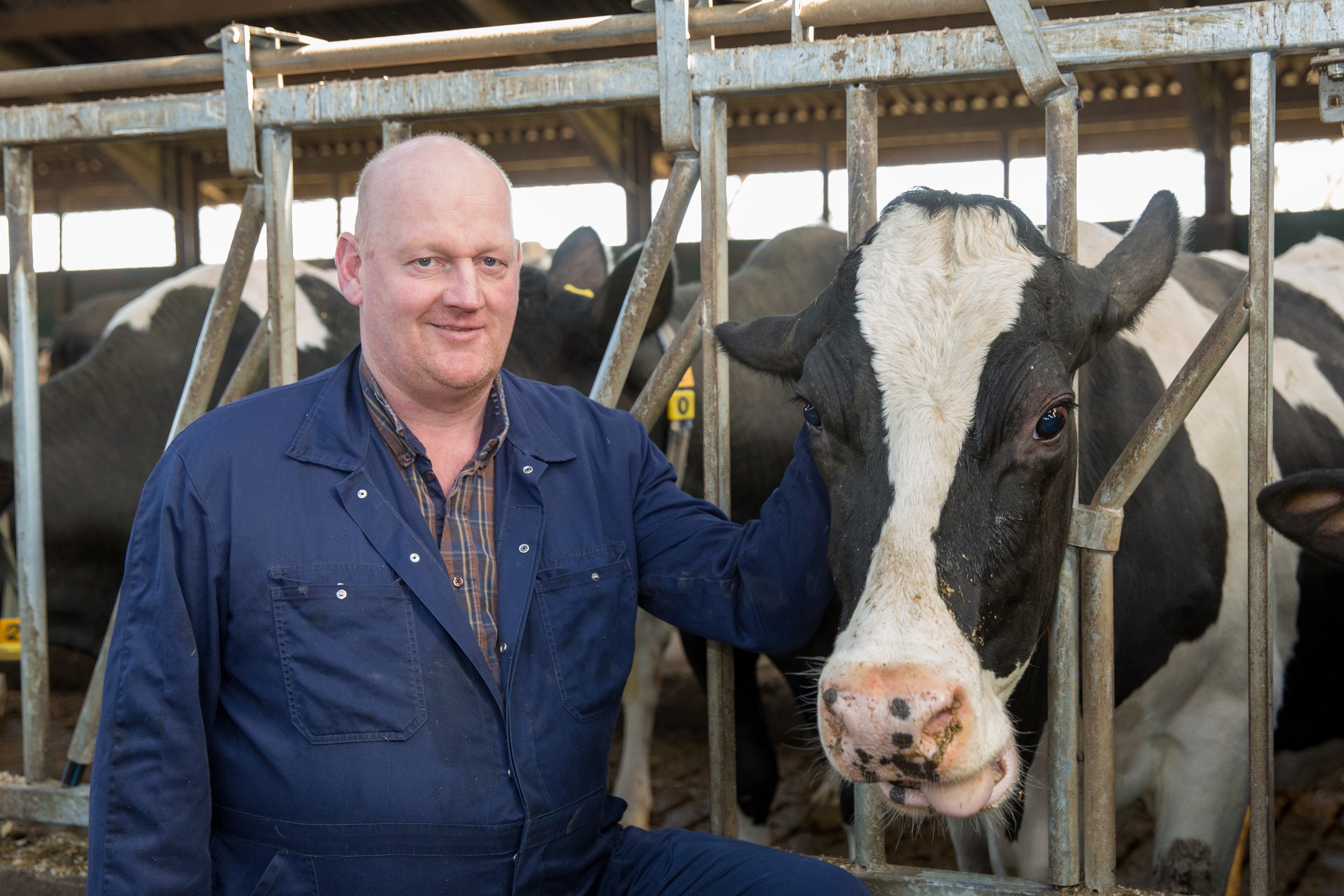 Chirurgie-Liesbreuk-Eddy van Klompenburg (4)