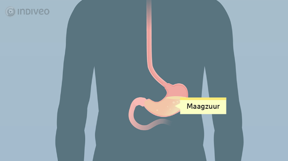 St Jansdal kiest voor begrijpelijke voorlichting met animaties