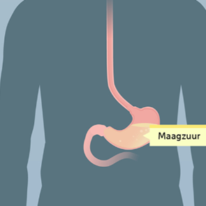 St Jansdal kiest voor begrijpelijke voorlichting met animaties St Jansdal kiest voor begrijpelijke voorlichting met animaties