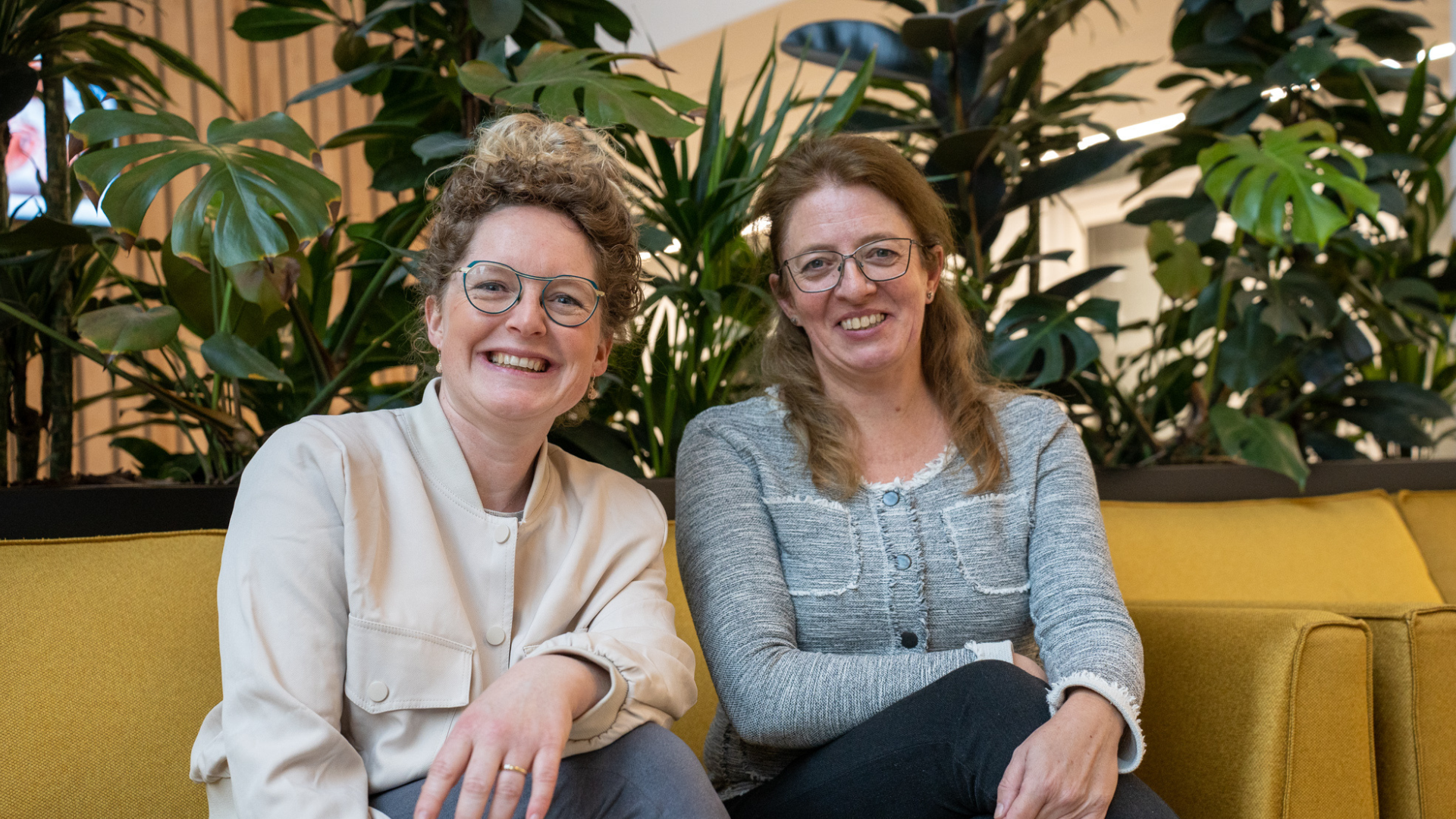 Zonder titel (650 x 300 px) (1920 x 1080 px)