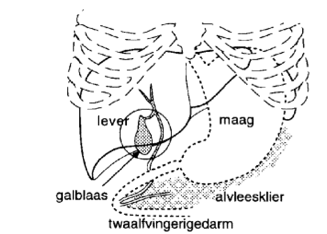 Ziekenhuis St Jansdal